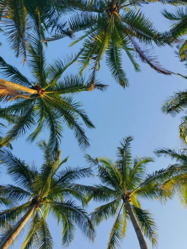 Find compassionate, evidence-based drug and alcohol rehab in Royal Palm Beach, FL. The Good Life Treatment Center offers personalized addiction treatment to support lasting recovery.